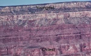 Grand Canyon Strata.jpg