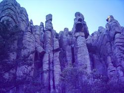 chiricahua 2.JPG