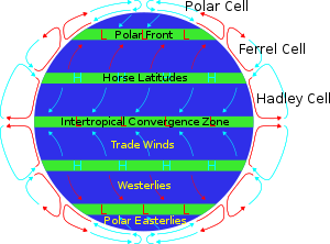 Global wind belts