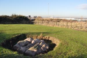 Glacial Erratic