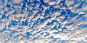 Altocumulus clouds 