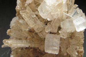 Halite and Gypsum