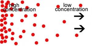 high to low concentration