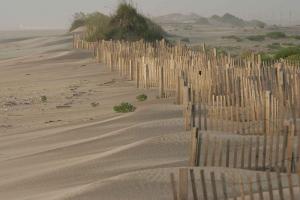 Beach Erosion Control