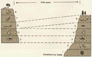 Rock Correlation