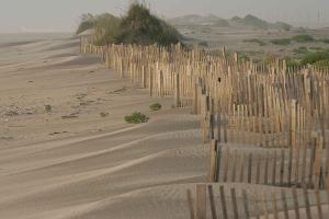 Beach Erosion Control