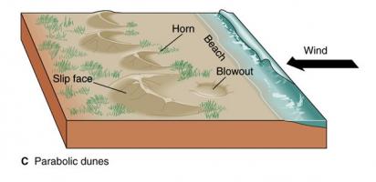 Parabolic dune diagram