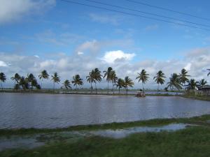 Coastal Plains