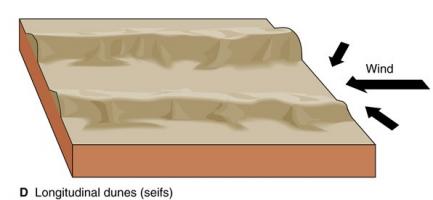 longitudinal dune